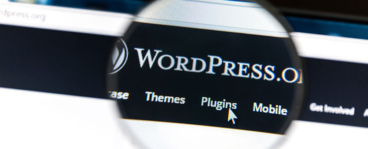 WordPress