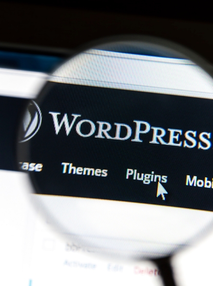 WordPress